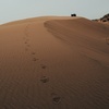 Test Product